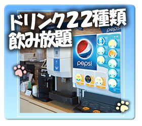 ドリンク１５種類飲み放題