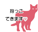 抱っこできます