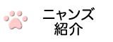 ニャンズ紹介