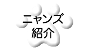 ニャンズ紹介