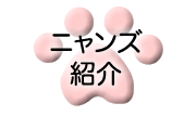 ニャンズ紹介