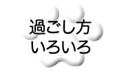 過ごし方いろいろ