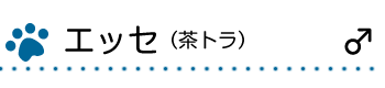 エッセ