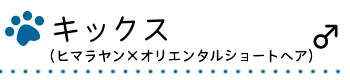 キックス