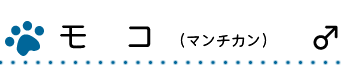モコ