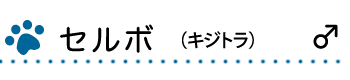 セルボ